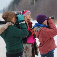 Students watching birds on 2016 North Shore excursion