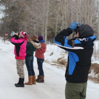 Students watching birds on 2016 North Shore excursion