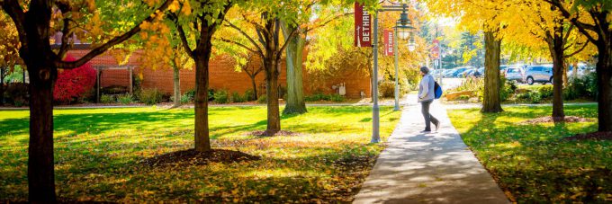 Student walking on sidewalk among trees in fall