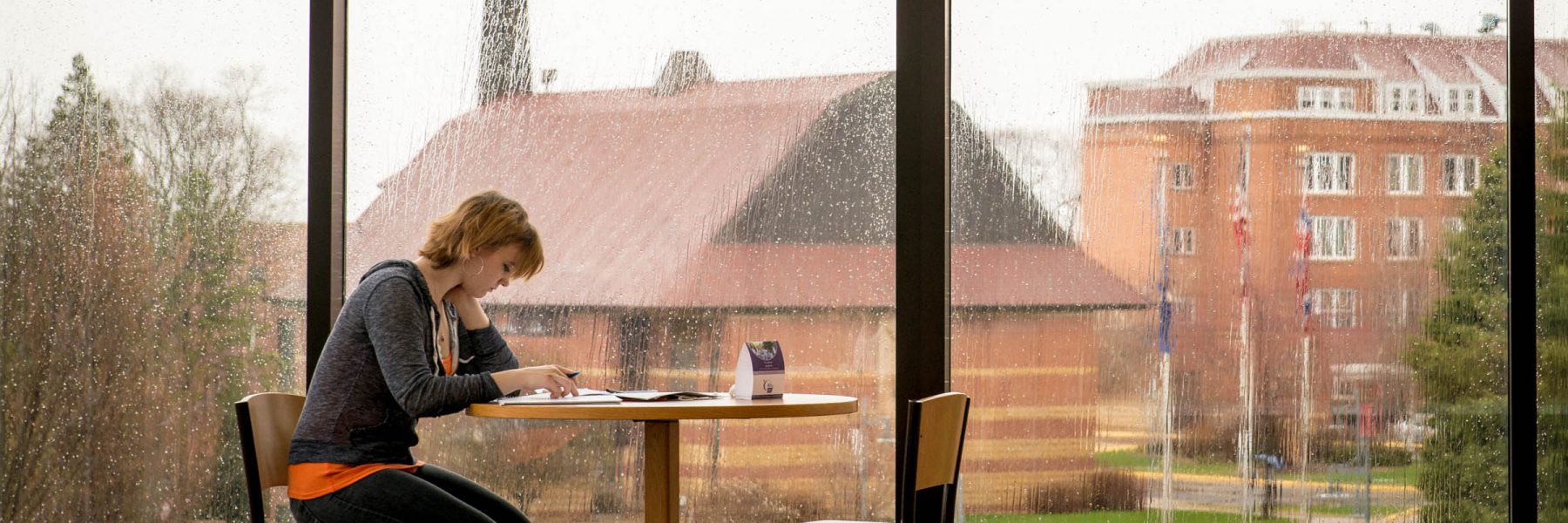 Student studying in North Lantern of Honsey Hall on a rainy day