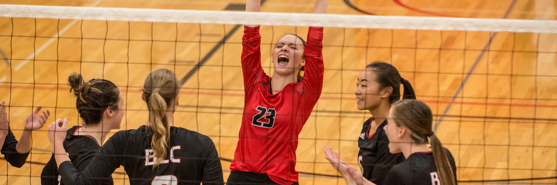 Volleyball players yelling after scoring a point