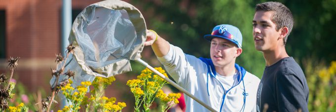 students walk among foliage looking for insects to catch with a net, biology, bugs