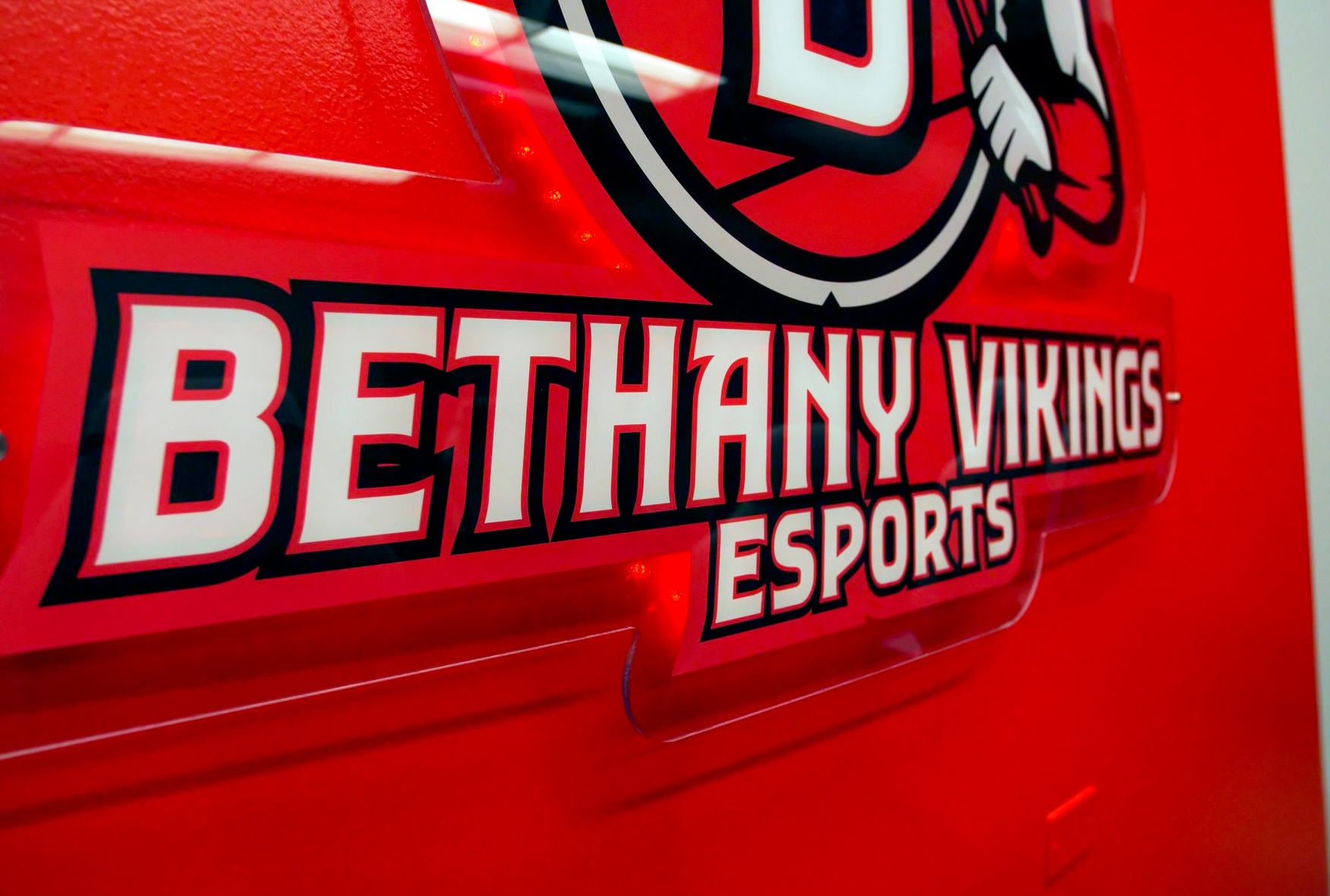 Bethay Vikings ESports wall hanging (lights up)