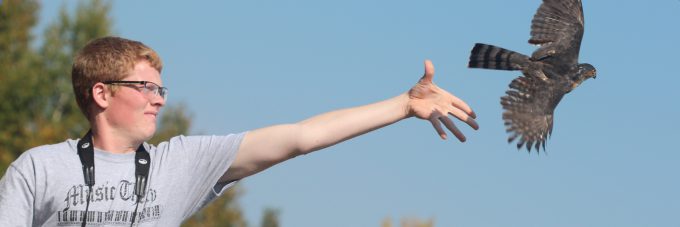 A students releasing a Sharp-shinned Hawk outside