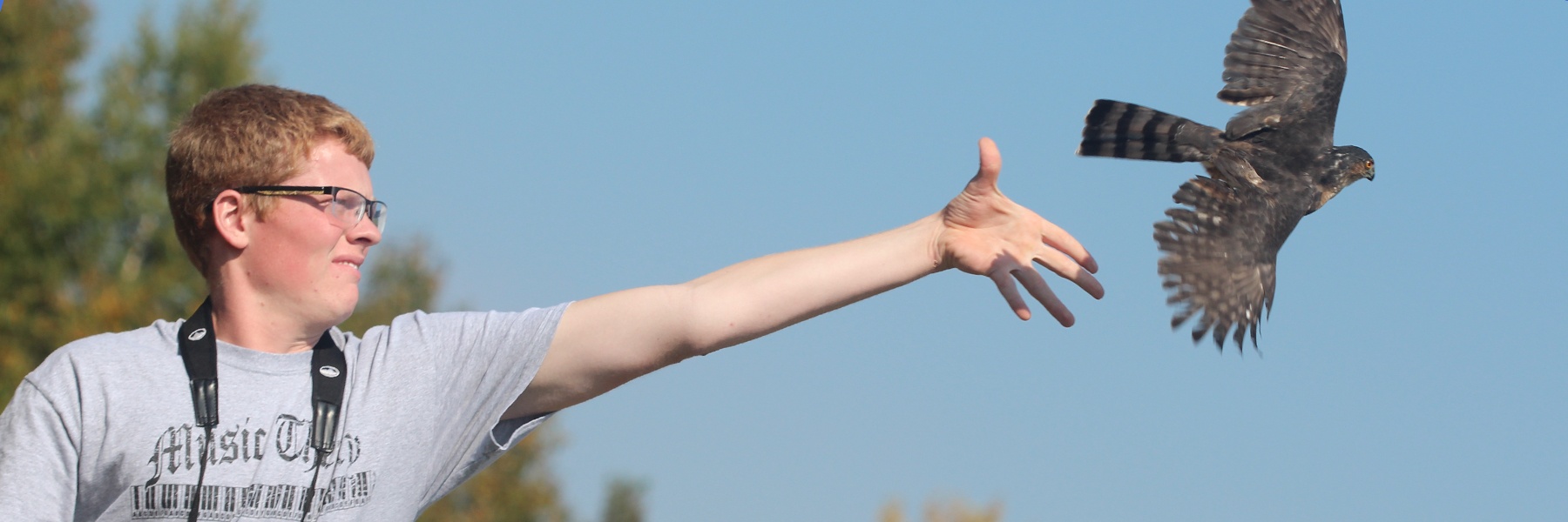 A students releasing a Sharp-shinned Hawk outside