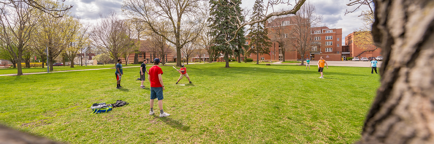 Wiffle ball game on campus green