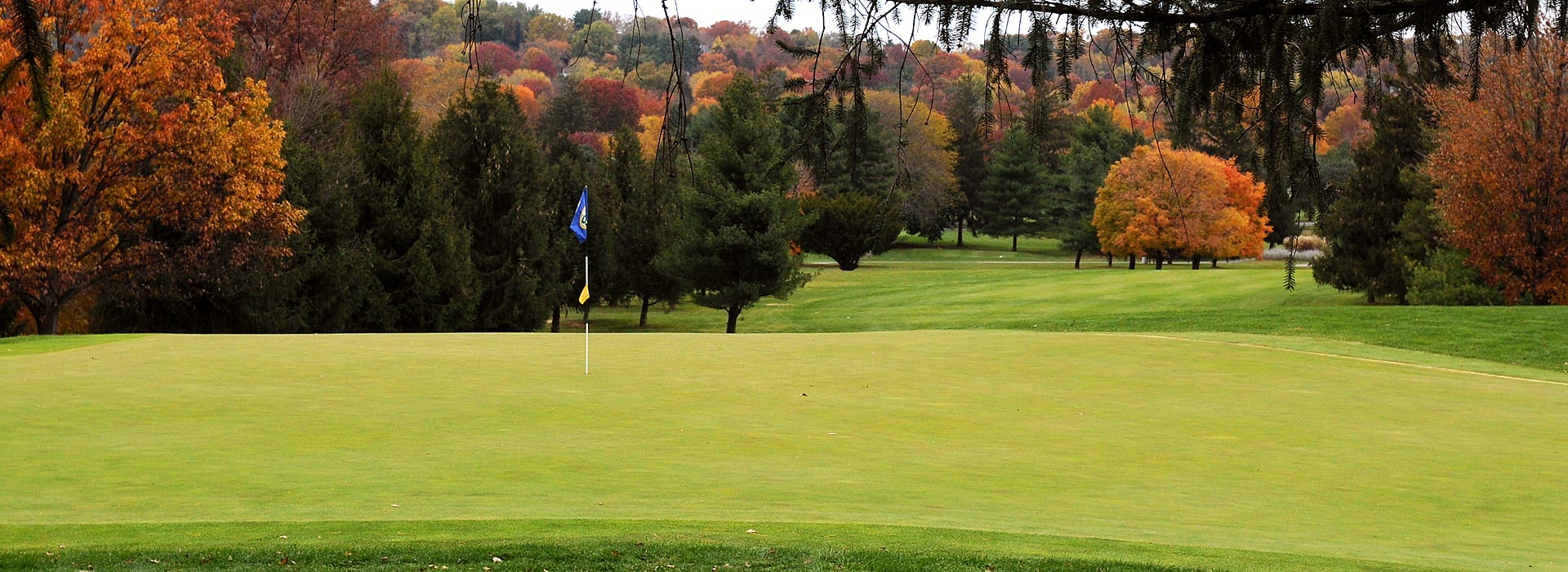 Golf course green with flag in hole and fall trees in background