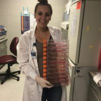 Female carrying a stack of samples to be tested in a medical lab