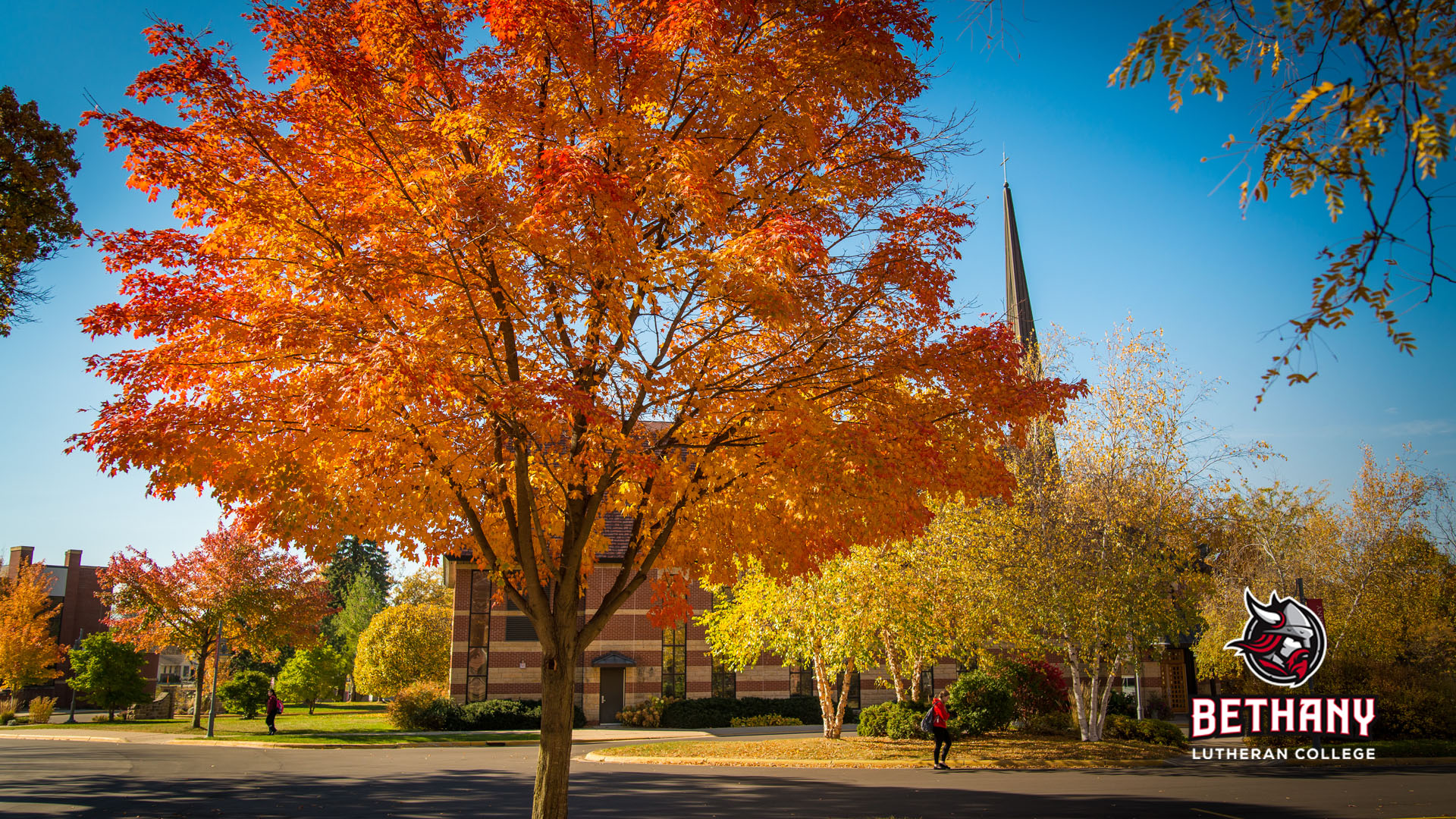 fall trees in front of campus, logo in lower right corner