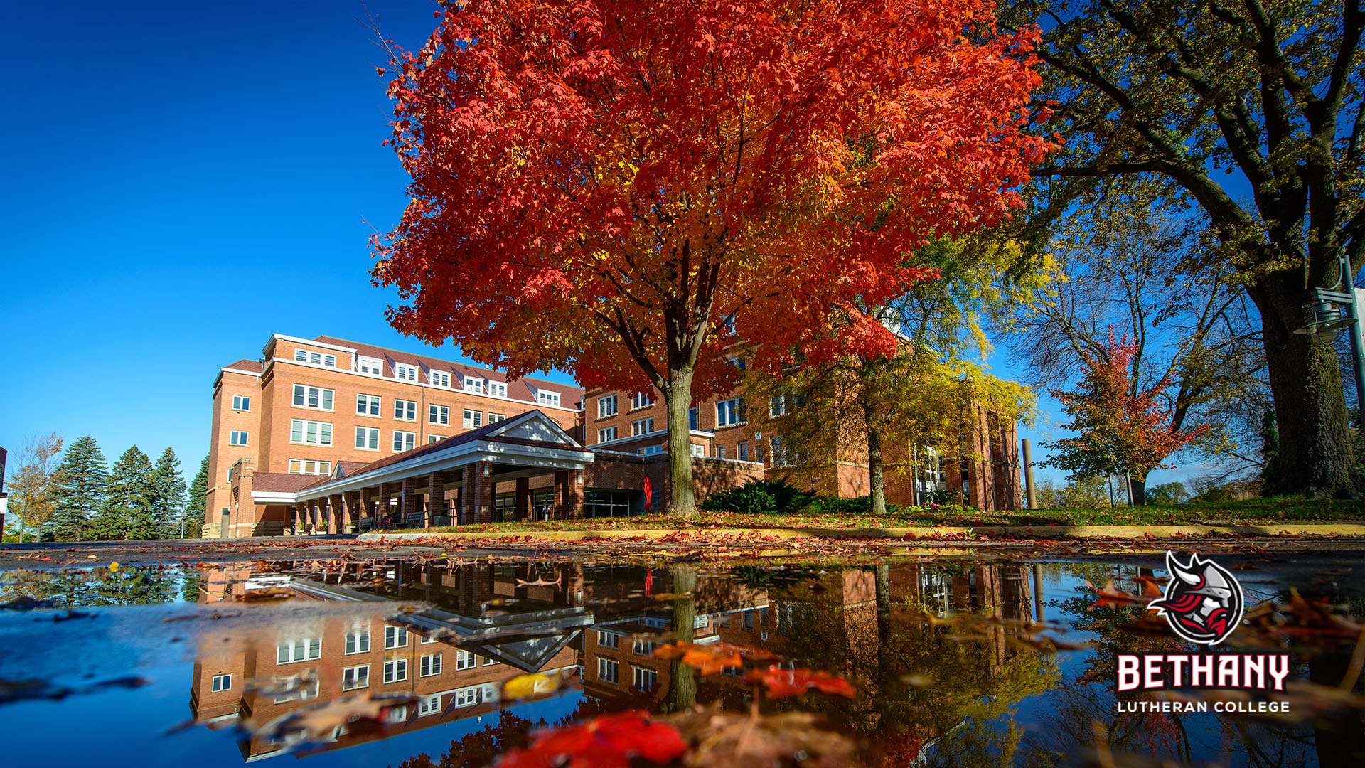 fall tree in front of old main reflected in puddle, logo in left corner