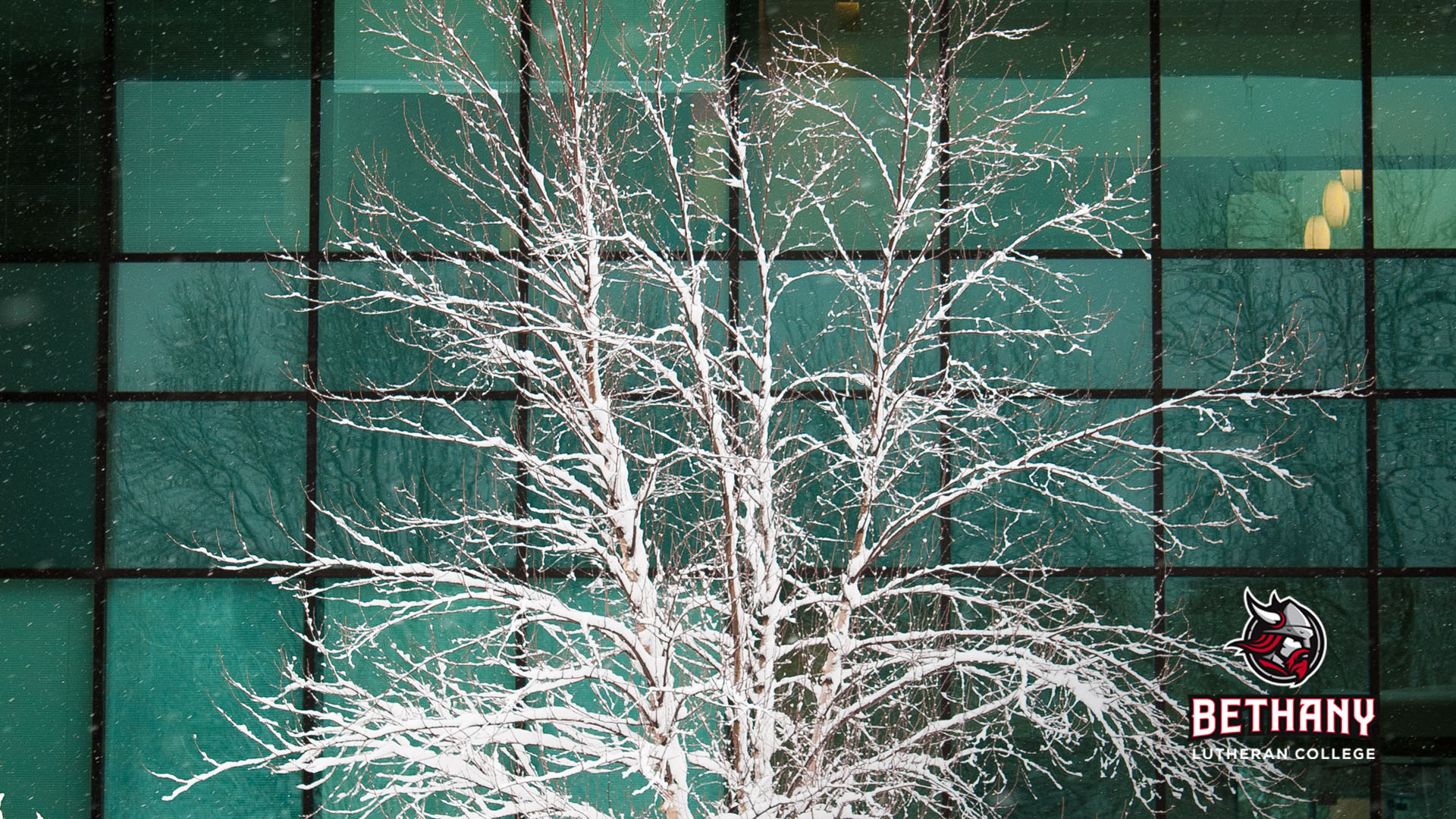 winter tree by honsey window, logo in lower right corner