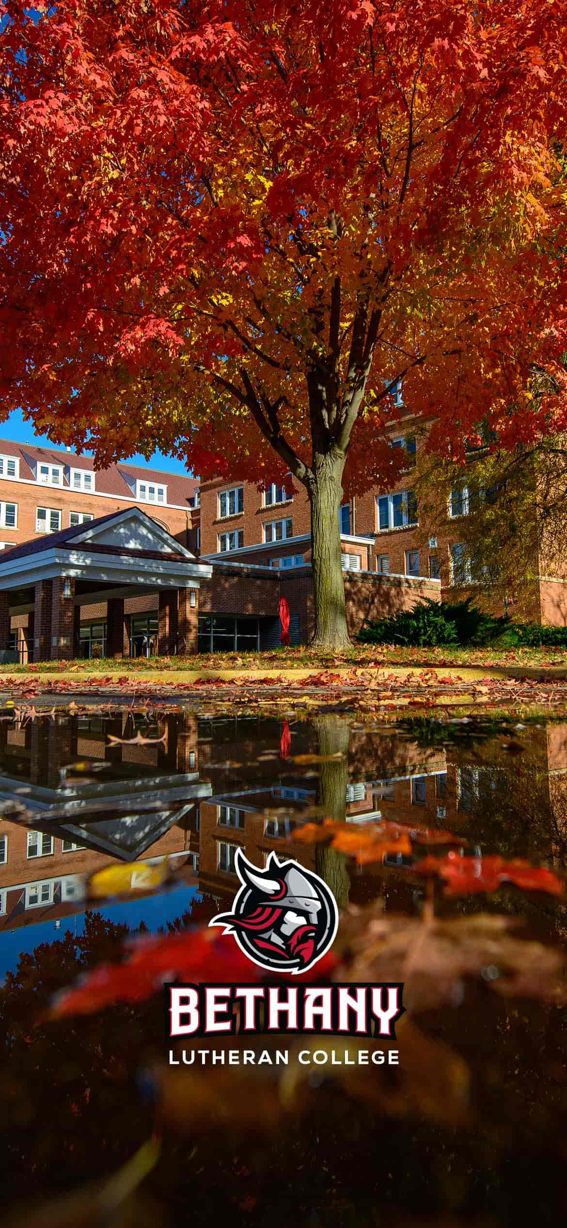 Phone wallpaper photo of Old Main in the fall