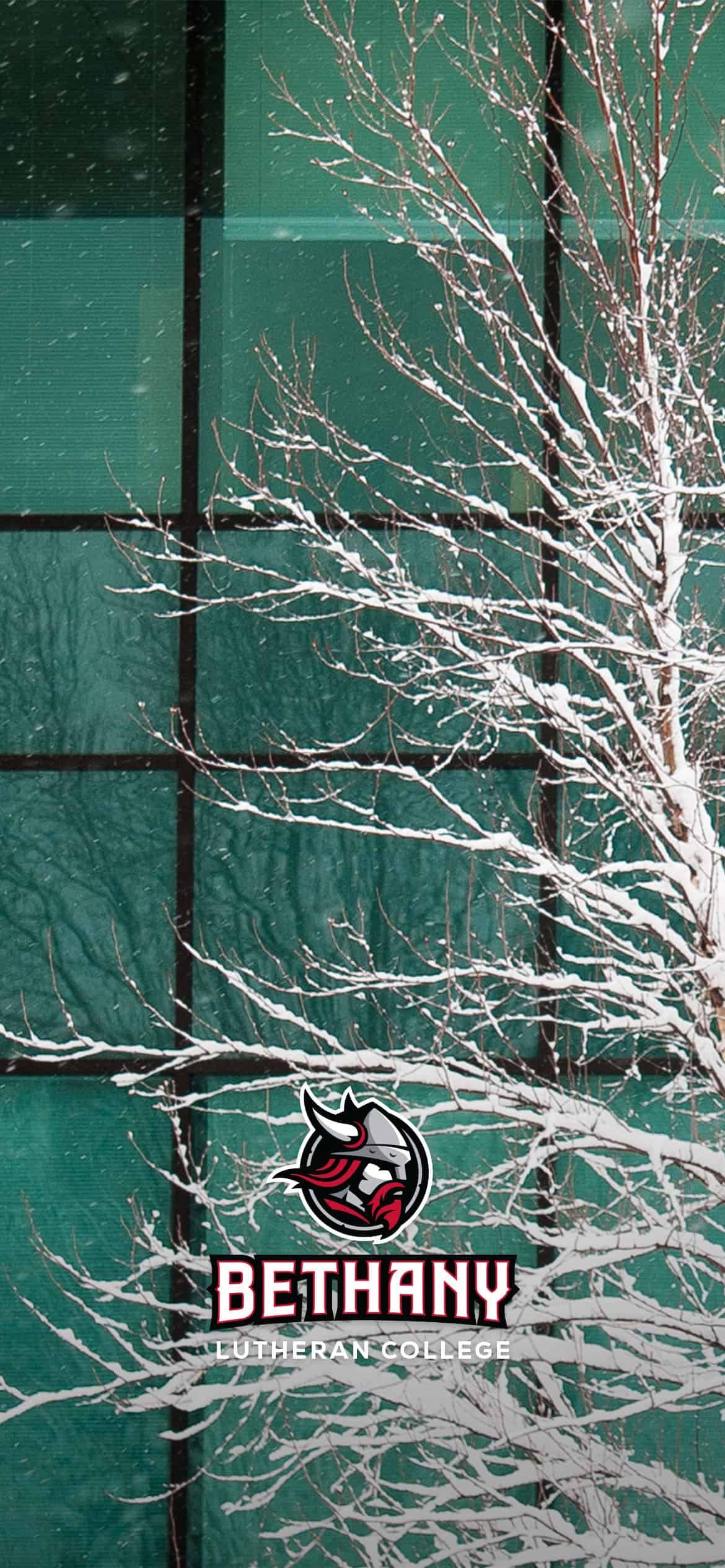 Phone wallpaper photo of a snowy tree in front of Honsey Hall